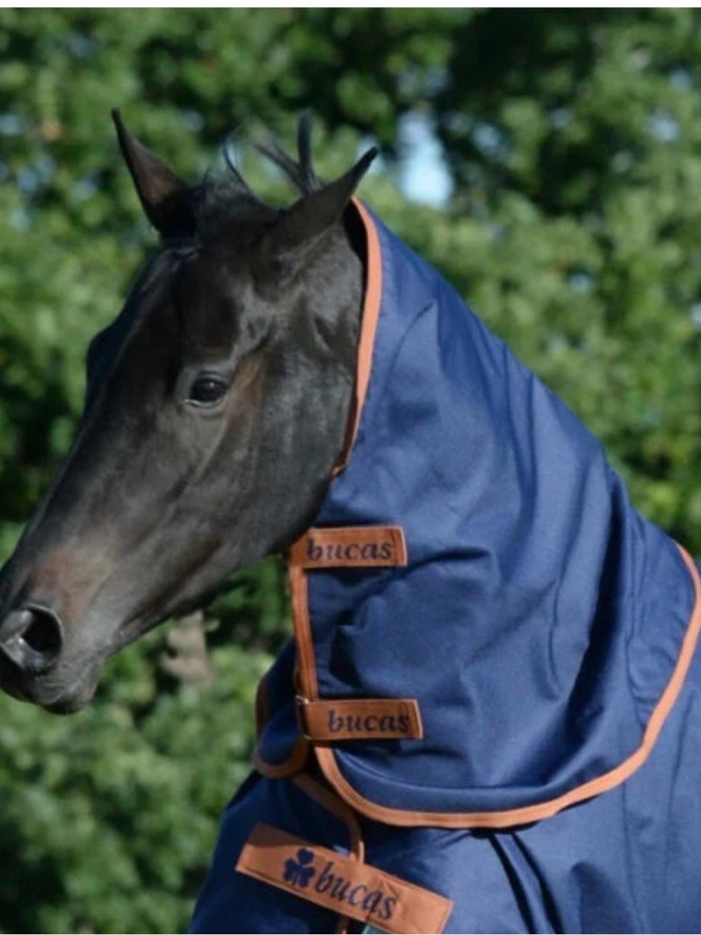 NWOT Horse X Range Combi Neck cover